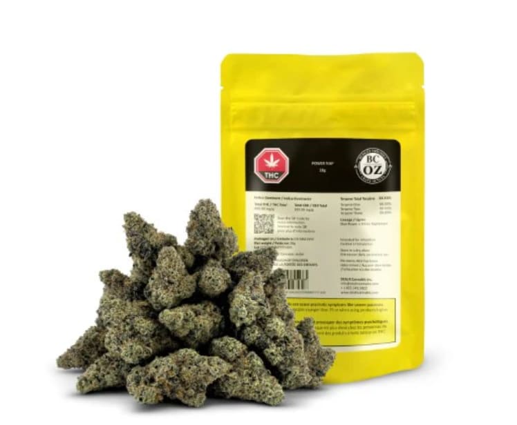 BC Oz - Power Nap