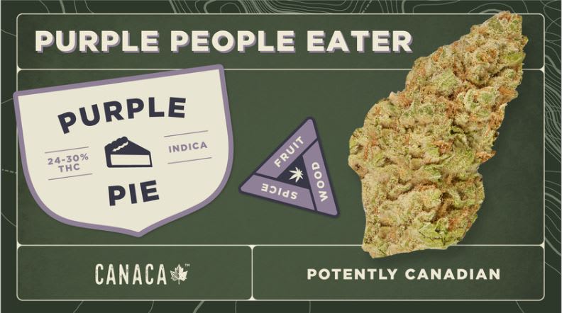 Purple Pie