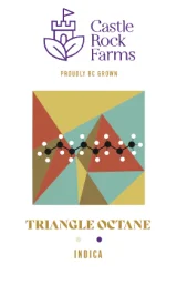 Triangle Octane