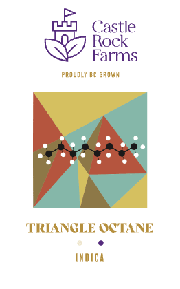 Triangle Octane