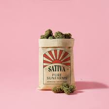 Sativa