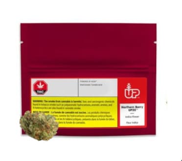 Northern Berry UP20