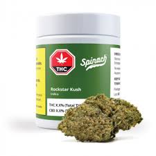 Rockstar Kush