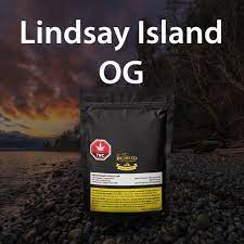 Lindsay OG
