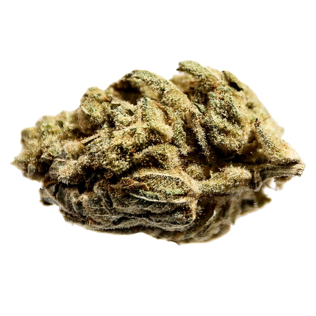 GG#4