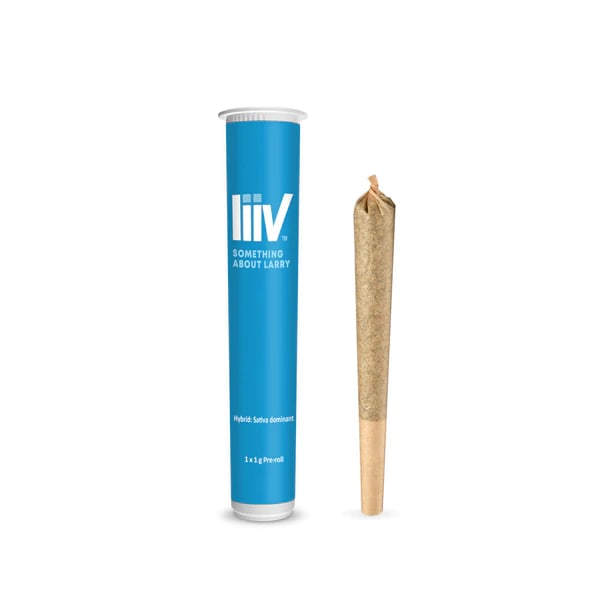 Something About Larry Pre-Rolls