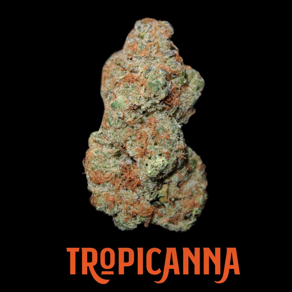 Tropicanna
