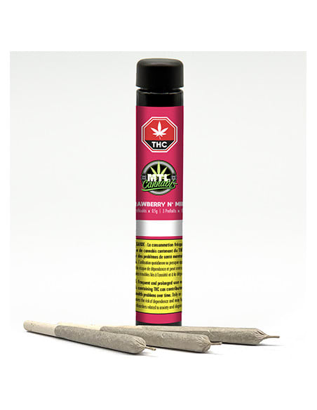 Strawberry N' Mintz Pre-Rolls