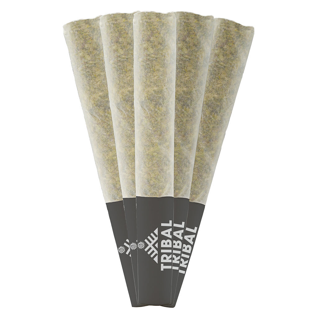 Neon Sunshine Pre-Rolls