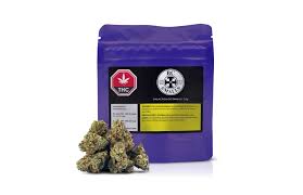 Galactica OG Smalls
