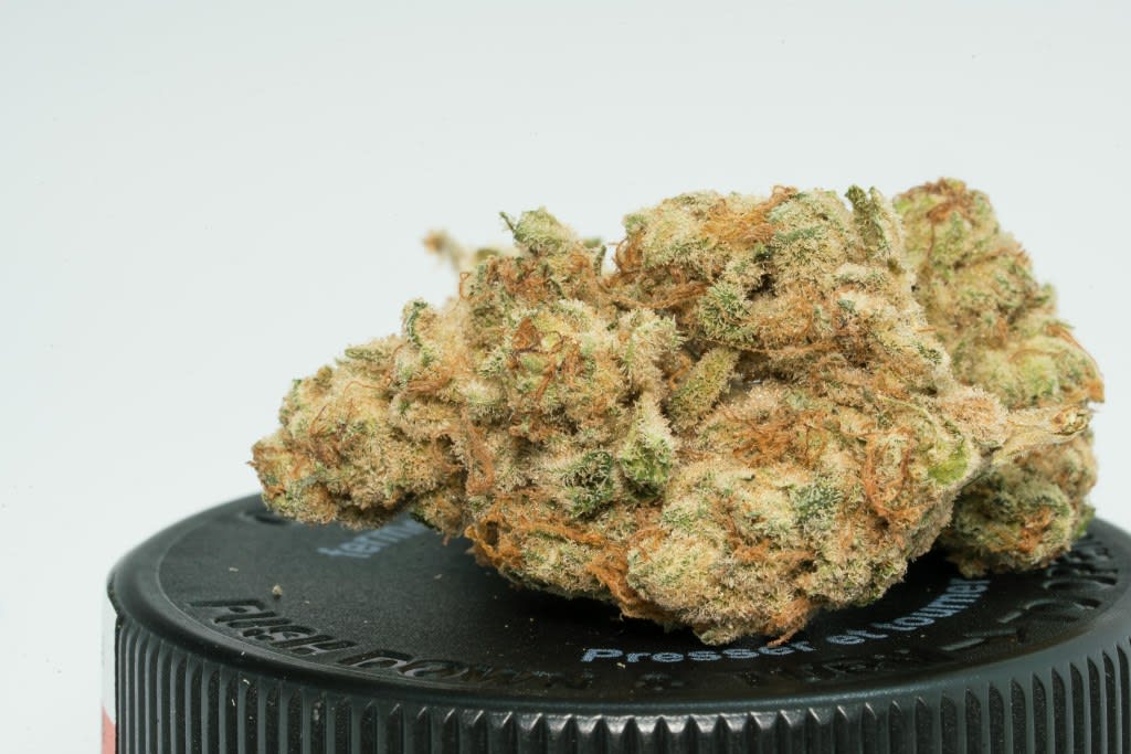 Gabriola (Frost Monster)