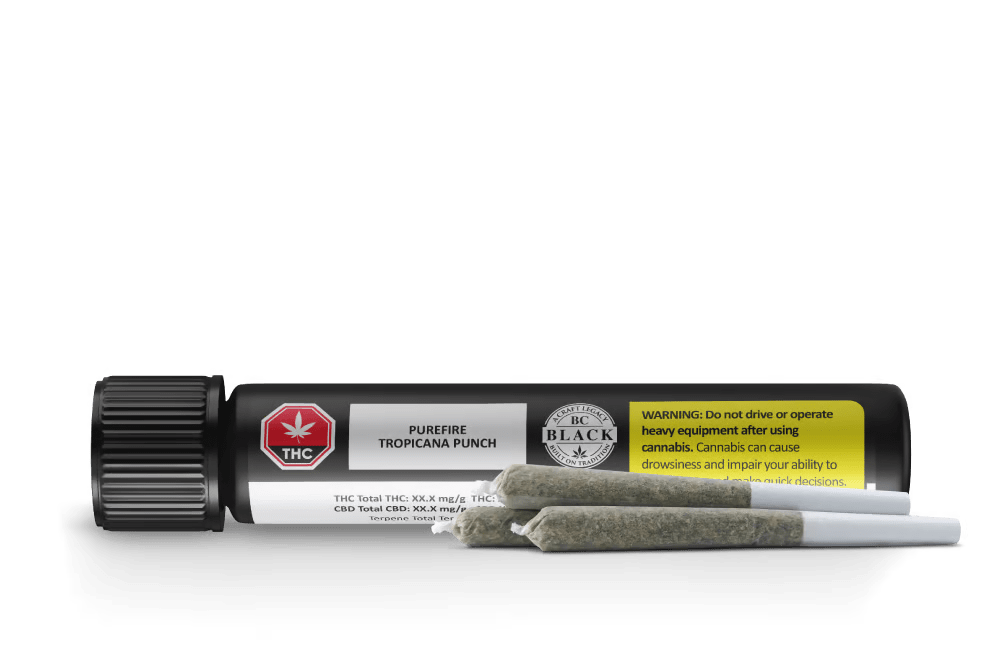 Tropicana Punch Pre-Rolls