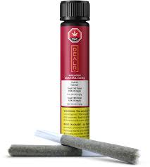 Molotov Cocktail Pre-Rolls