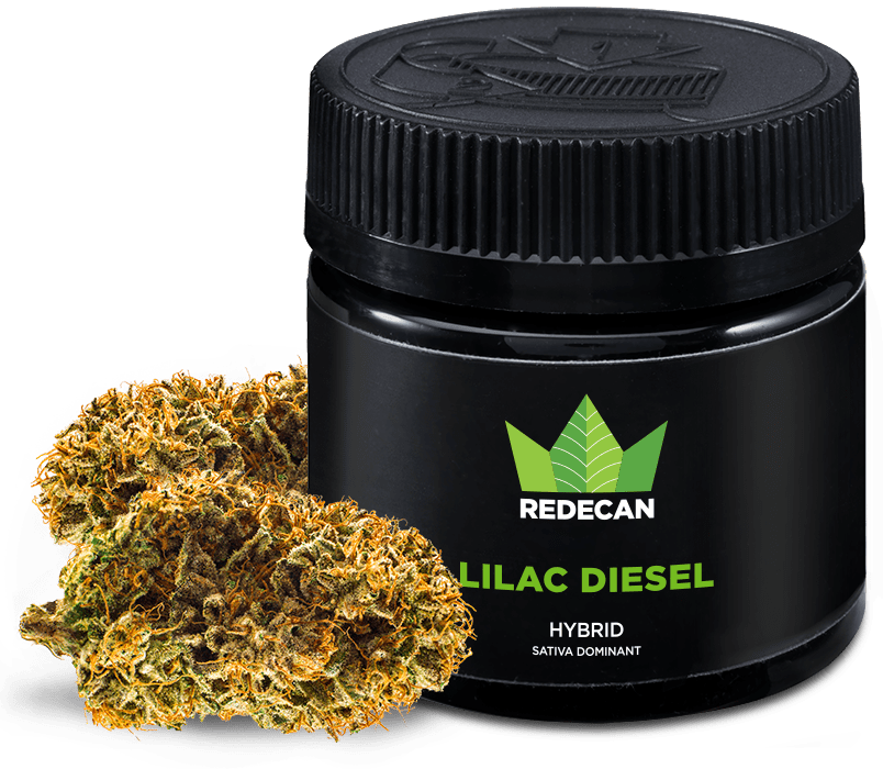 Lilac Diesel