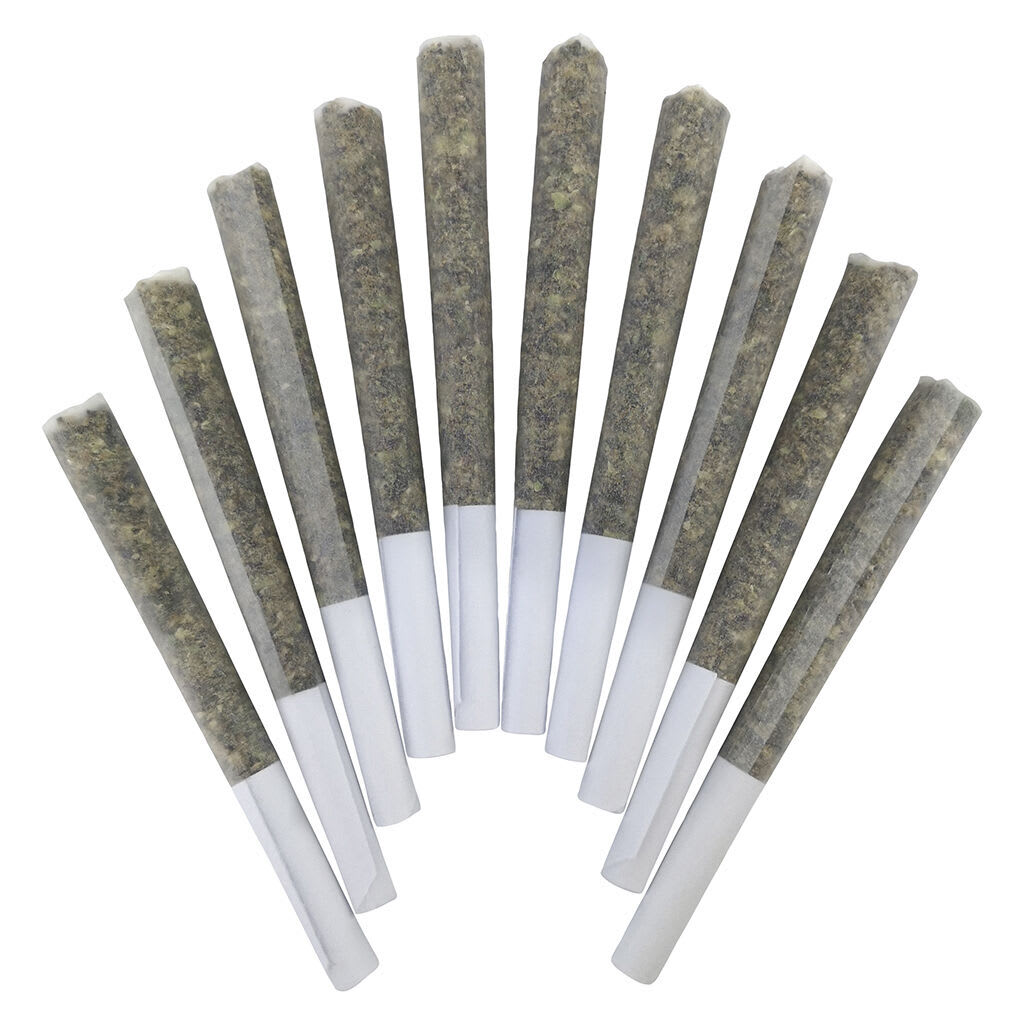 Genghis Chron Pre-Rolls