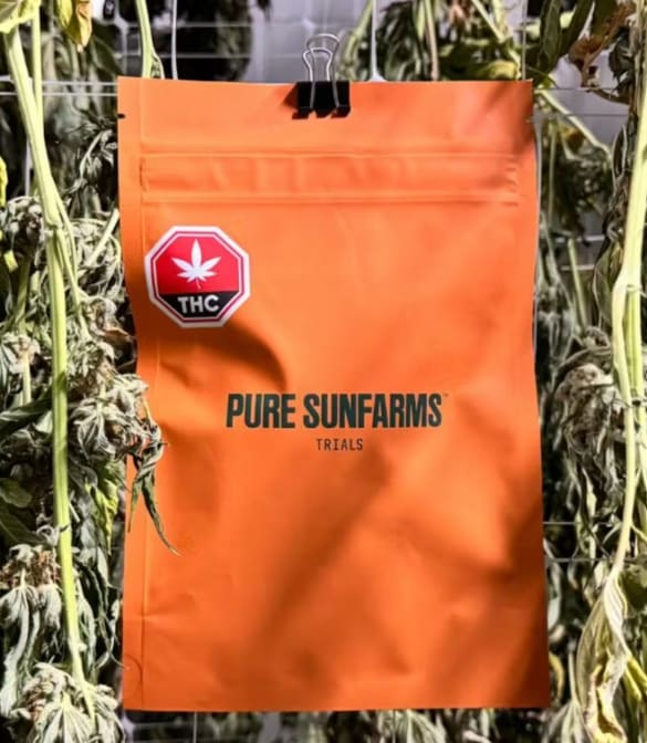Trials Variety Pack