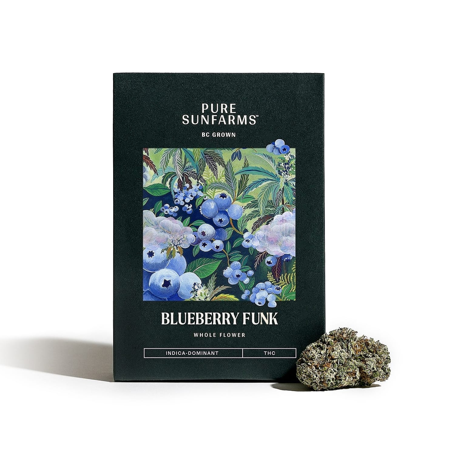 Blueberry Funk