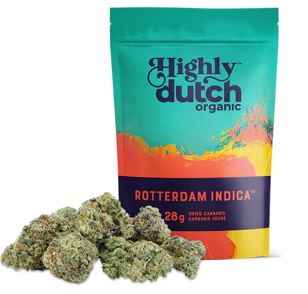 Rotterdam Indica