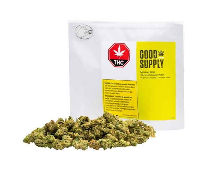 Monkey Glue