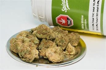 White Widow