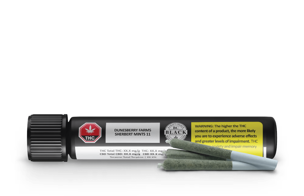 Sherbert Mint 11 Pre-Rolls