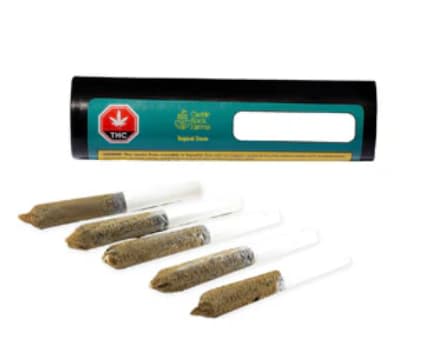 Castle Rock Farms - Infused Pre-Rolls - Tropical Storm Resin Infused - 5 x 0.5g