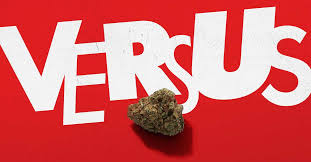 White Widow