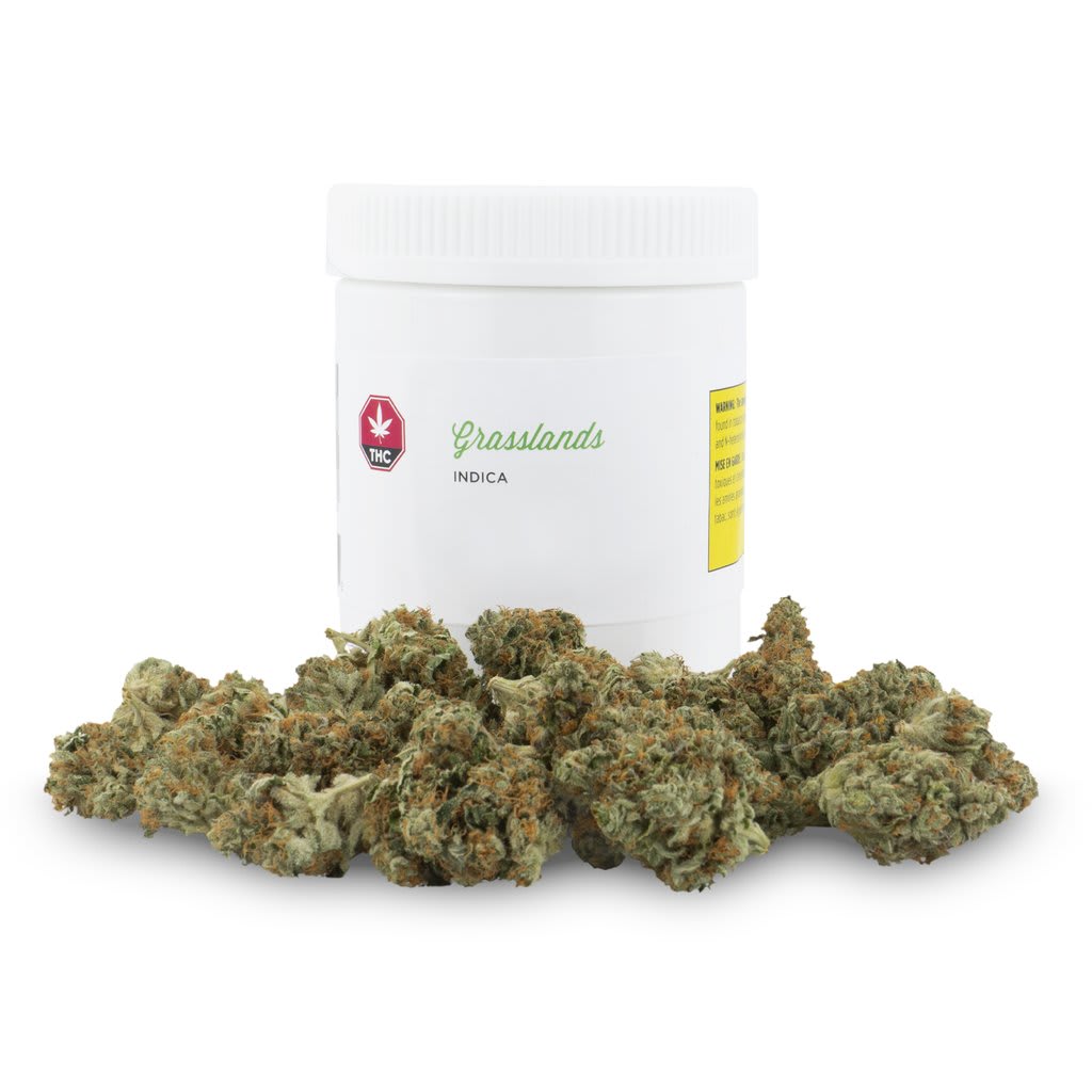 Indica