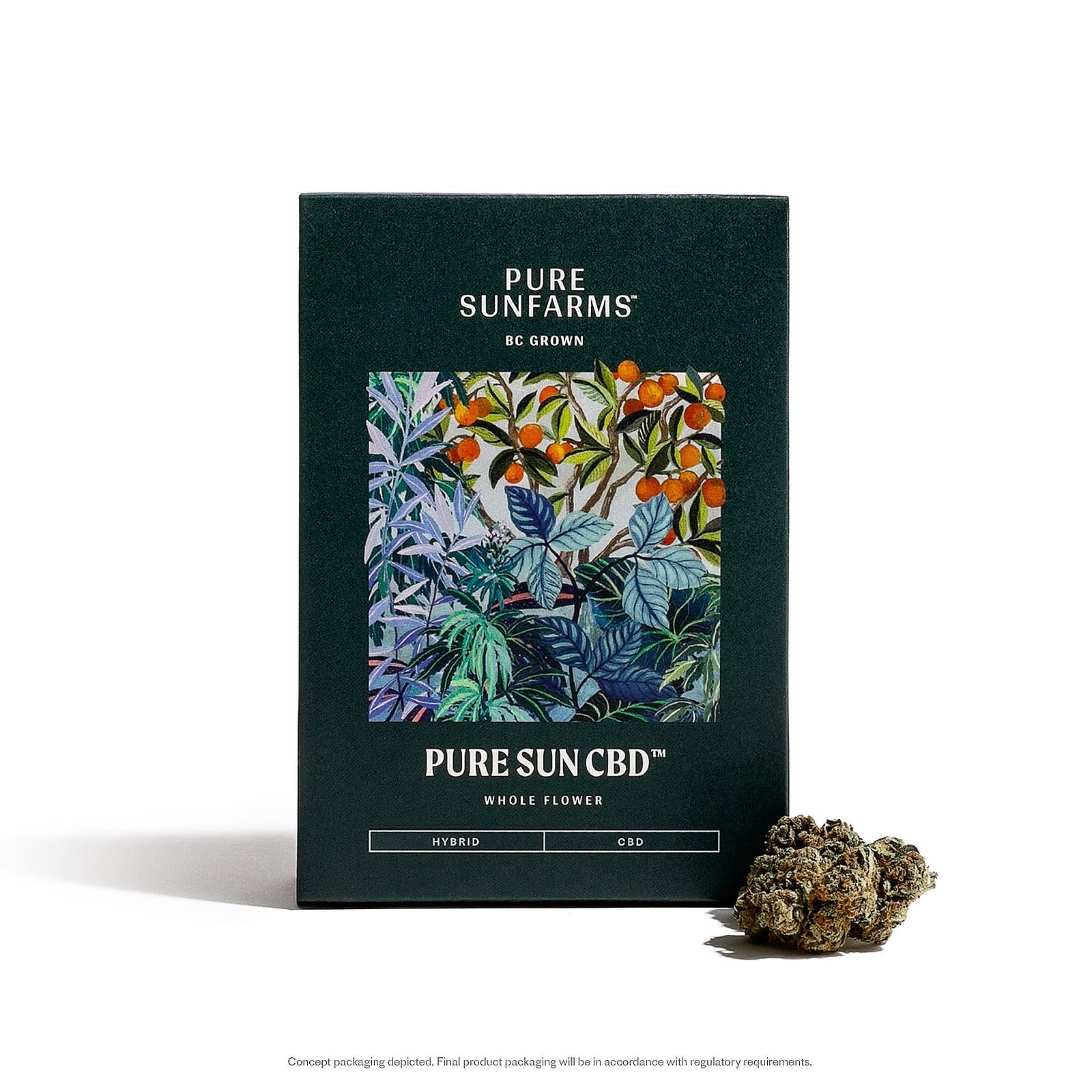 Pure Sun CBD