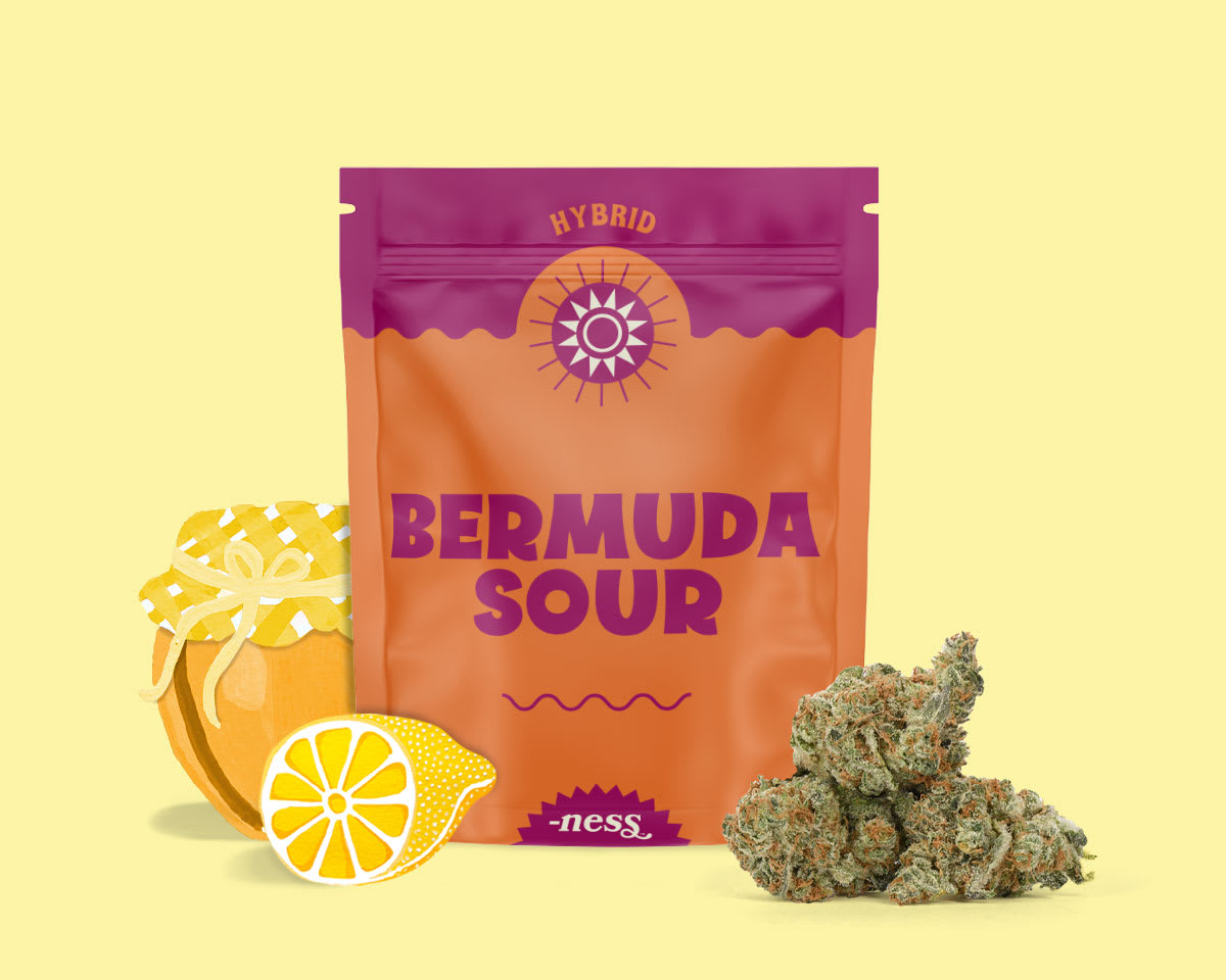 Bermuda Sour
