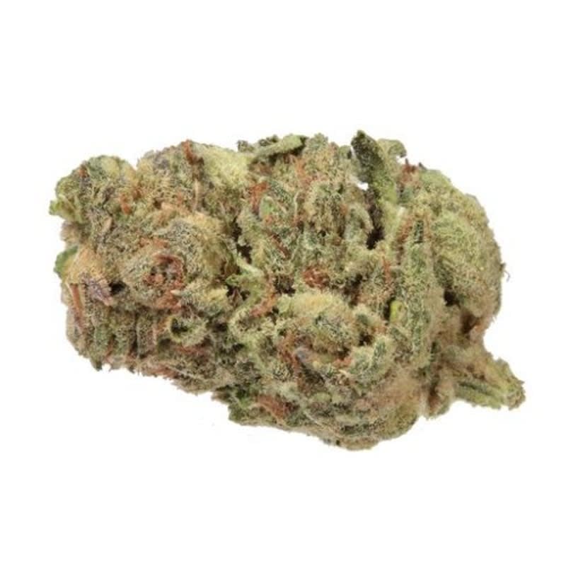 No. 419 Couch Surf (Afghani Kush)