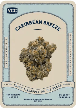Caribbean Breeze
