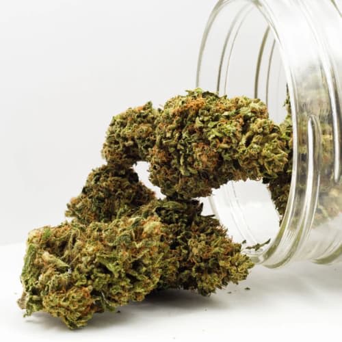 Grown Here Farms - CBD Infused Flower