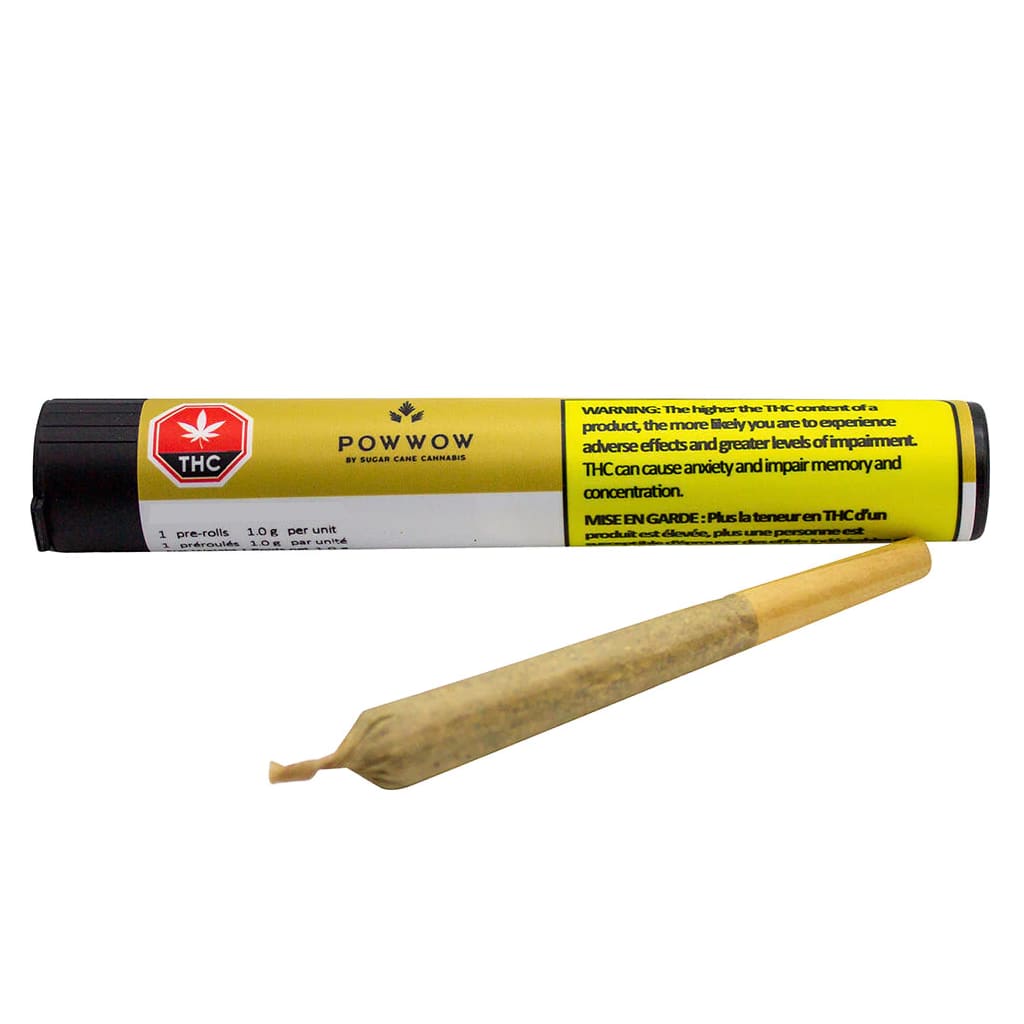 Ceremony Pre-Rolls