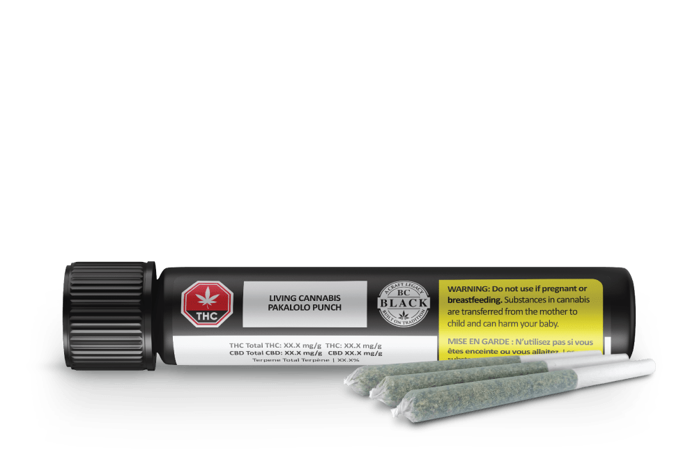 Pakalolo Punch Pre-Rolls