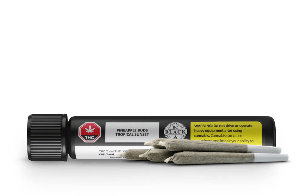 Tropical Sunset Pre-Rolls