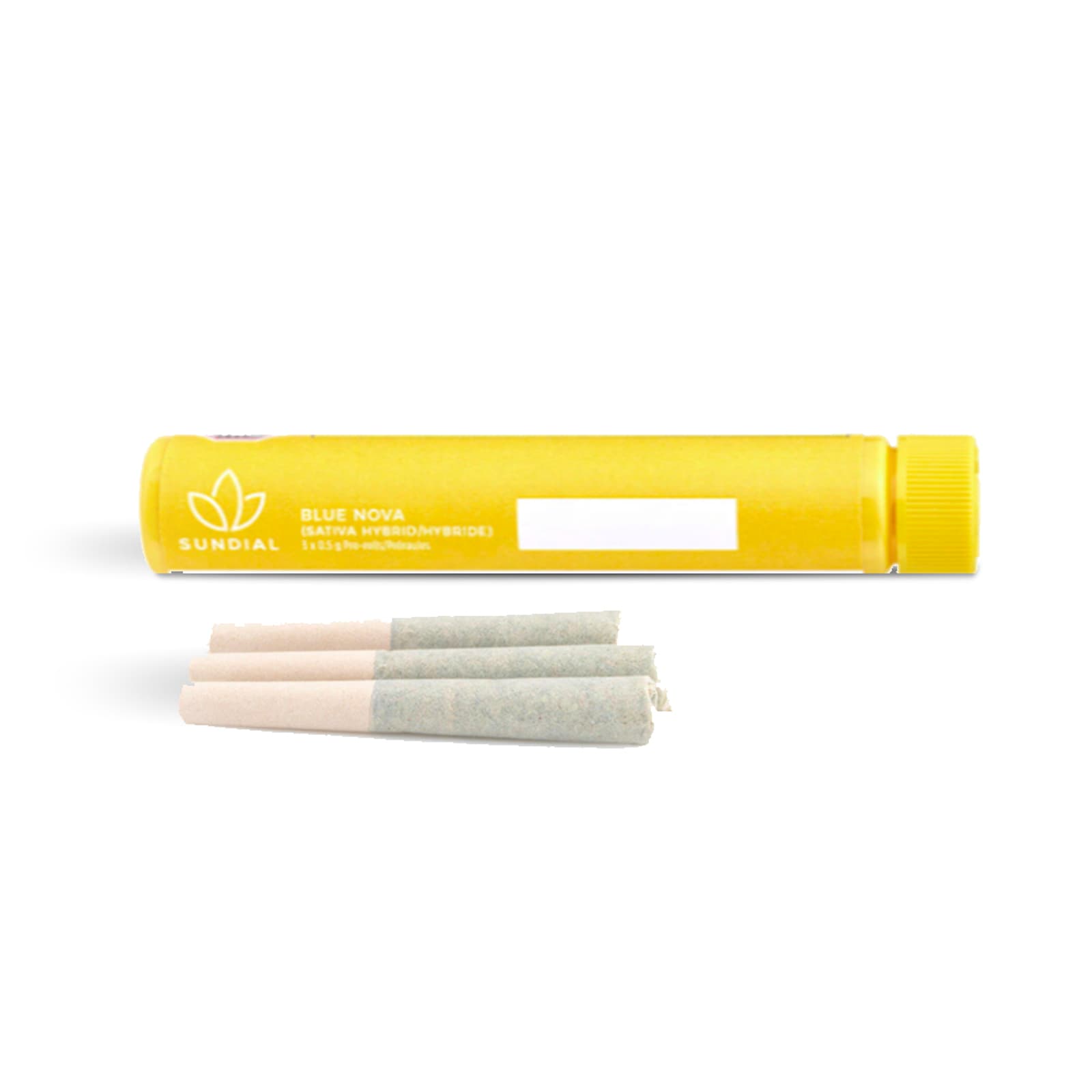 Blue Nova Pre-Rolls