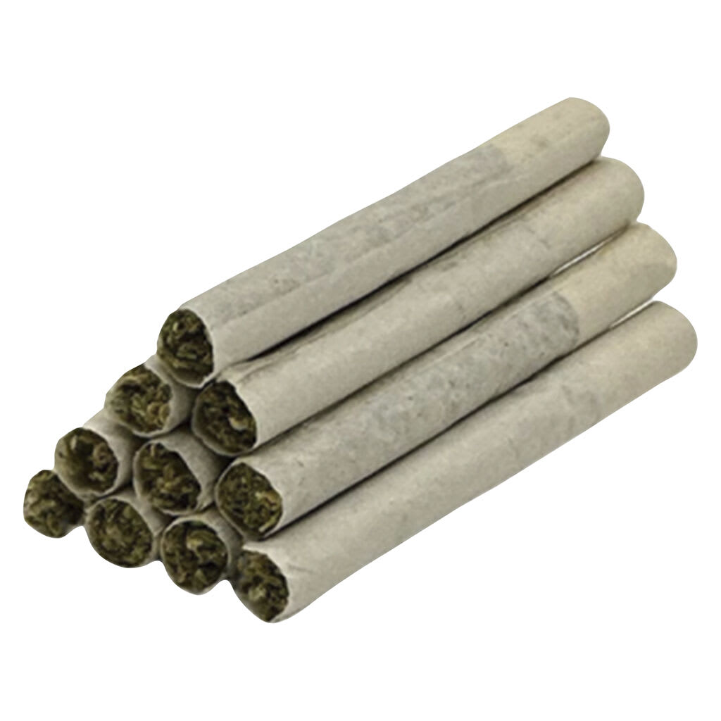 TRYGG - Low Frequency Pre-Rolls