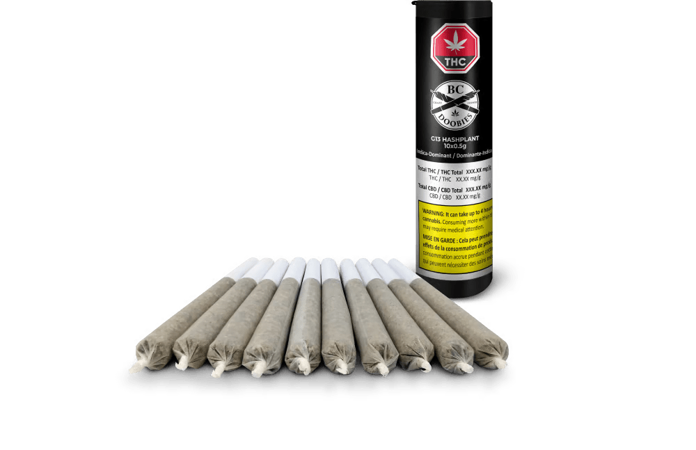 G13 Hashplant Pre-Rolls