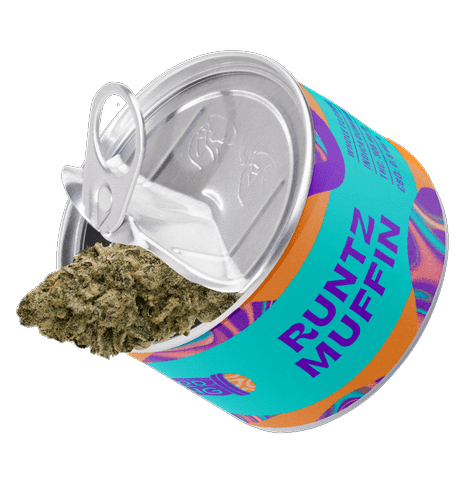 Runtz Muffin
