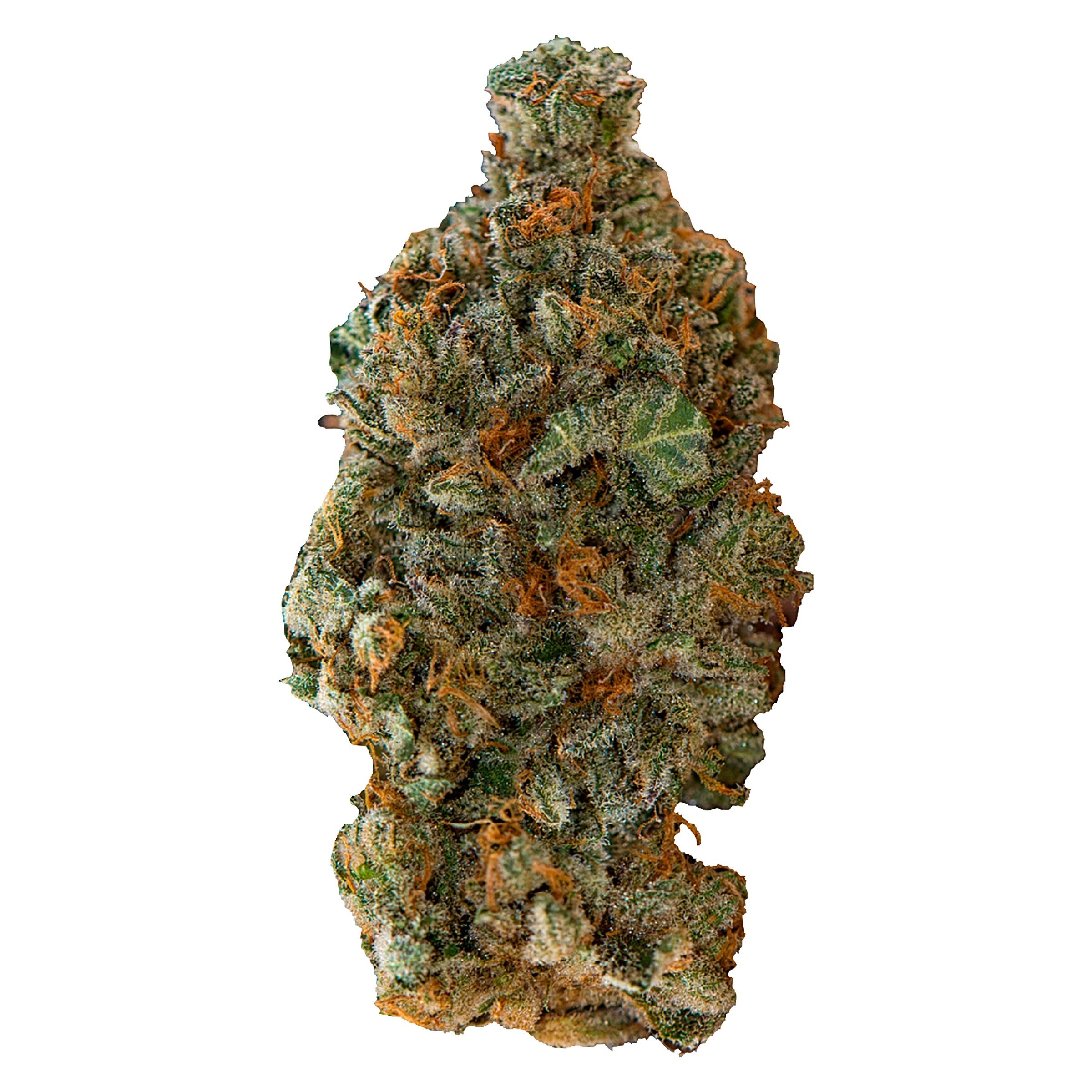 Versus - GSC