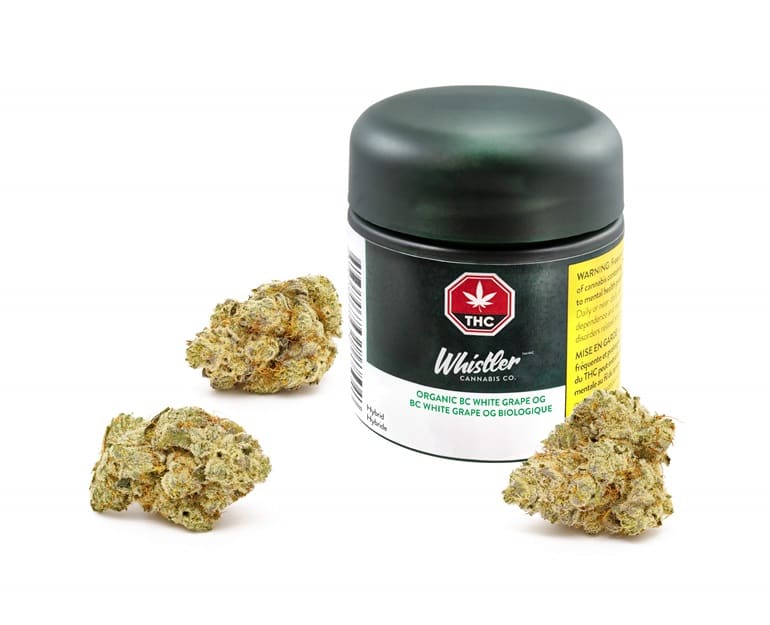 BC White Grape OG