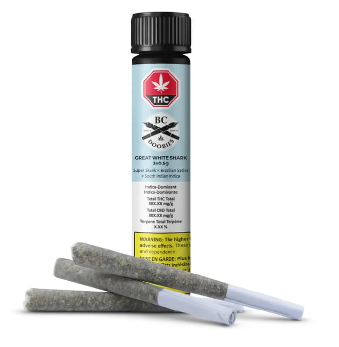 Great White Shark Pre-Rolls