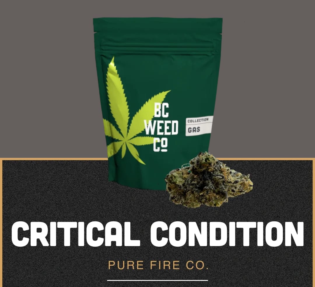 Critical Condition