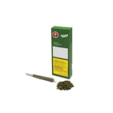 White Widow PreRolls