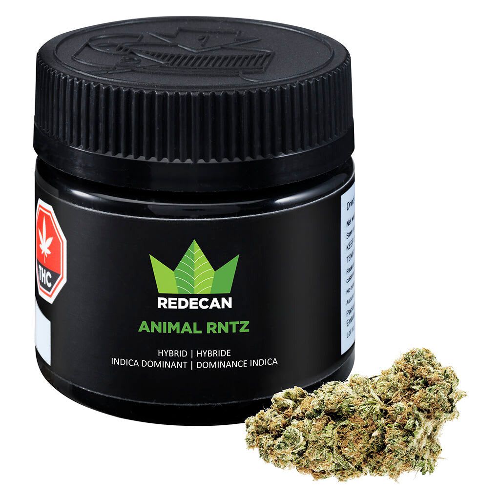 Redecan - Animal Rntz