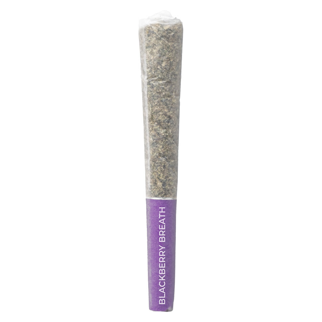 Pistol & Paris - Blackberry Breath Pre-Rolls