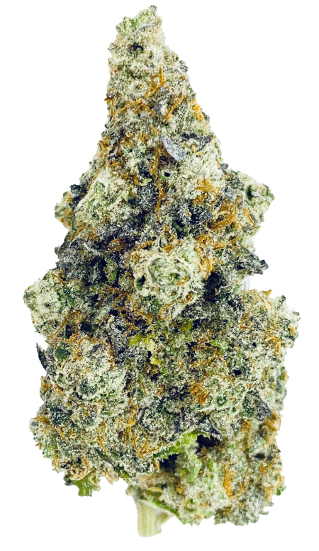 Cherry Punch