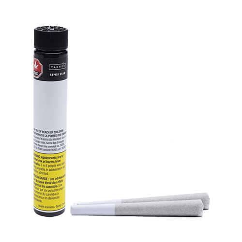 Sensi Star Pre-Rolls