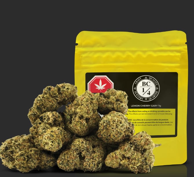 Lemon Cherry Gary